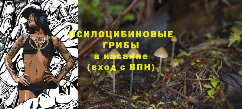 Псилоцибиновые грибы Magic Shrooms  где купить наркоту  Пошехонье 